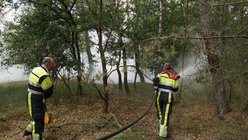 loonse drunense duin 18072018